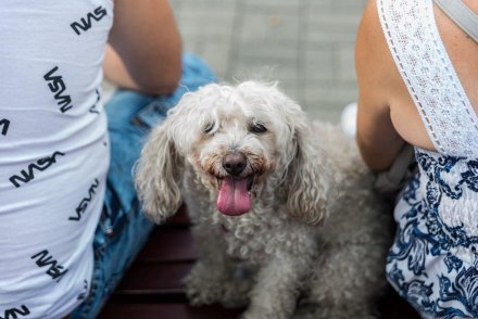 Drugi dzień Wiślaczka Country 2021 w Wiśle